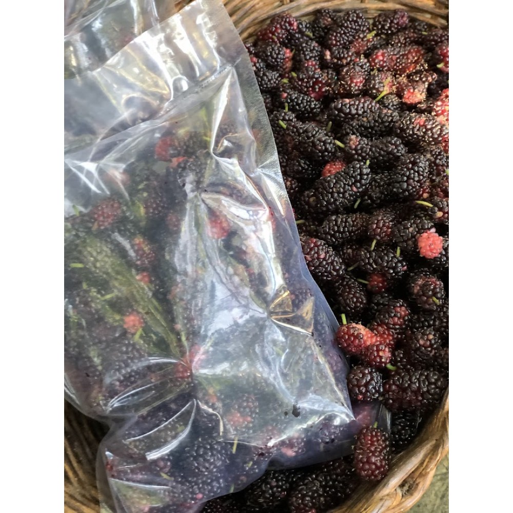 Congelada Amora comum -250g