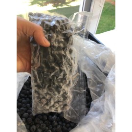 Mirtilo CONGELADO - 500g (embalado a vácuo)