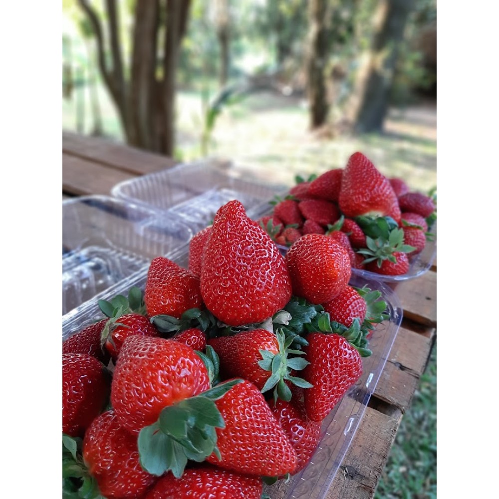 Moranguinhos - 250g Moranguinhos - 250g