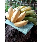 Bananas - kg