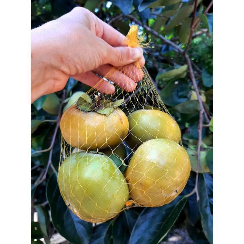 Caqui Chocolate - 500g