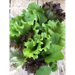 Mix de folhas selecionas - pote (150g)