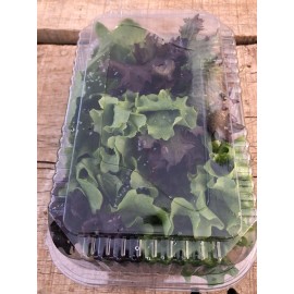 Mix de folhas selecionas - pote (150g)