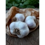 Alho comum -  100g