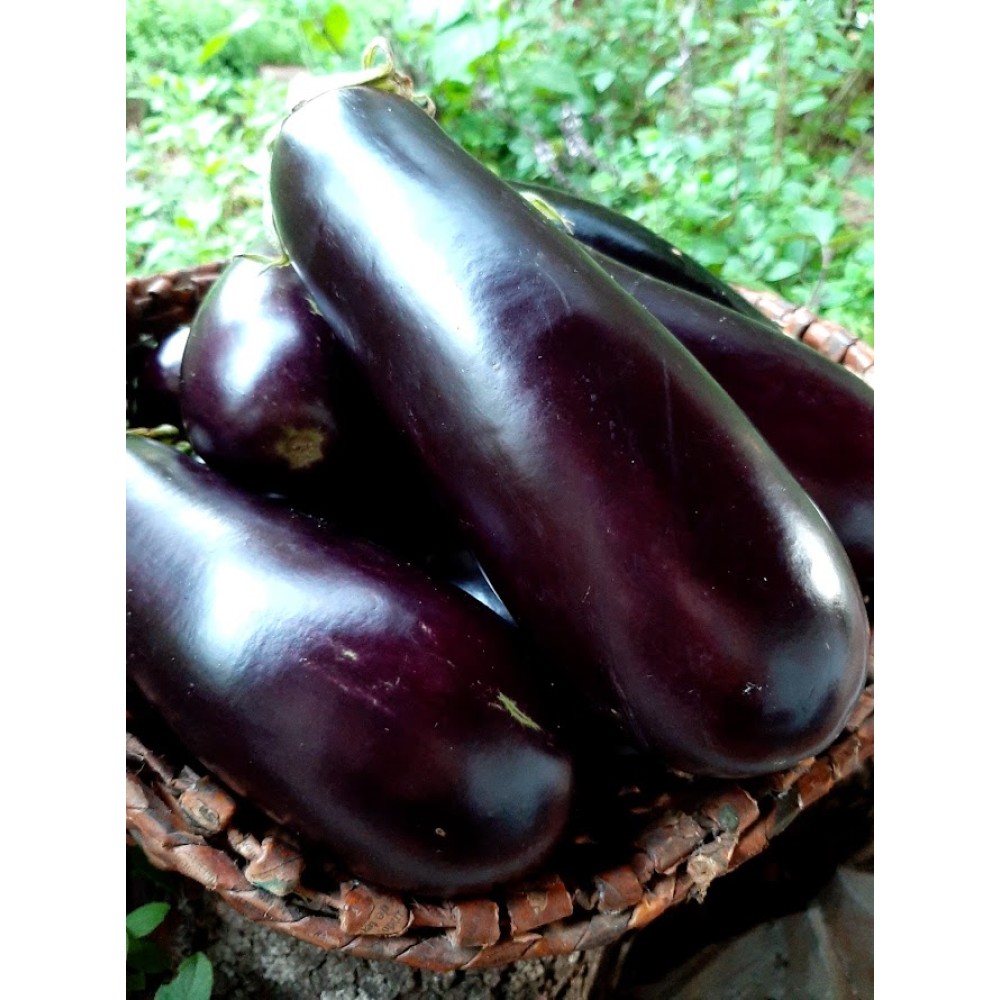 Berinjela pequena/média - unidade