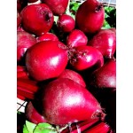 Beterraba - 500g