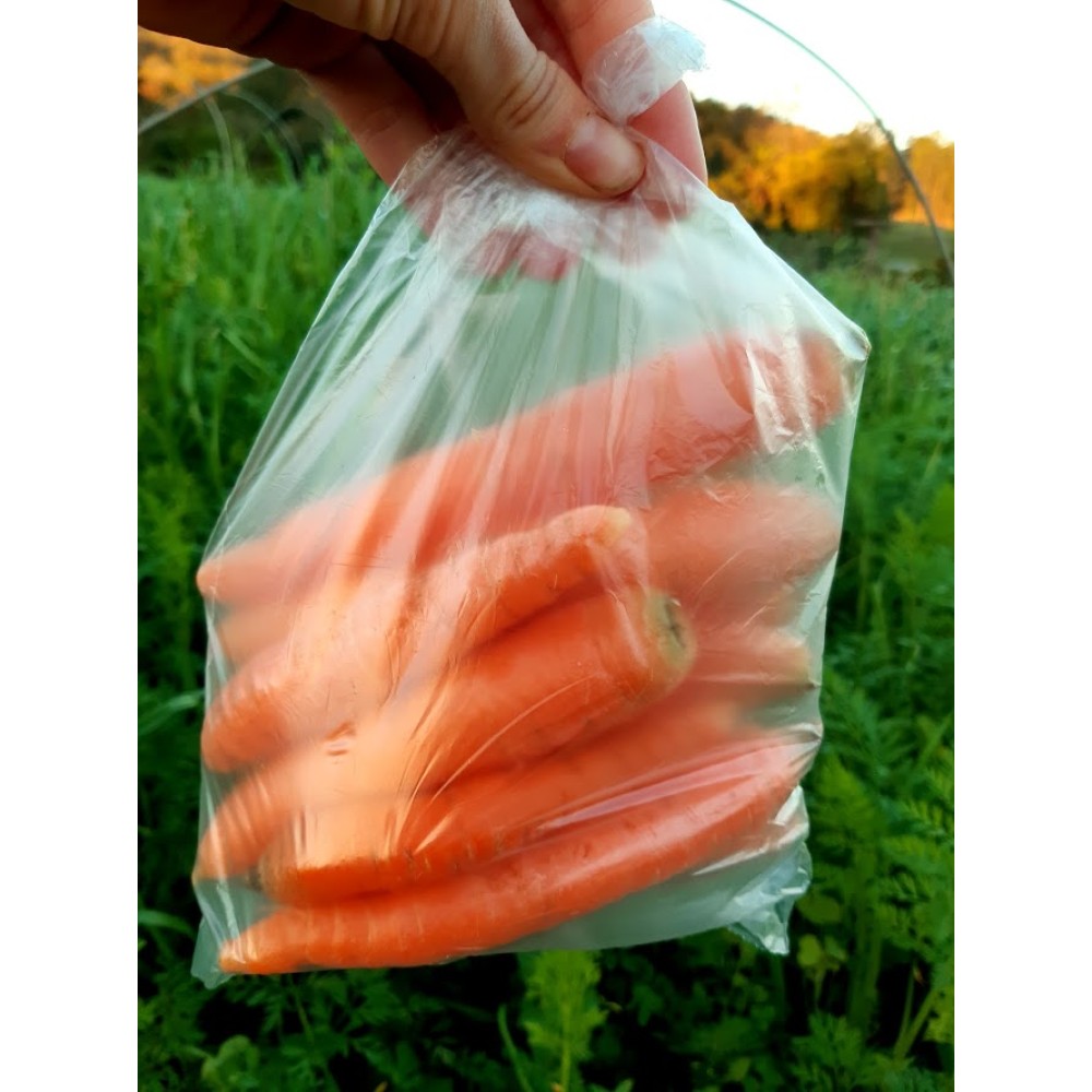 Cenouras - 450g