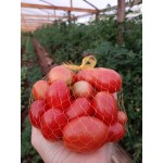 Tomatinho Grape - 300g