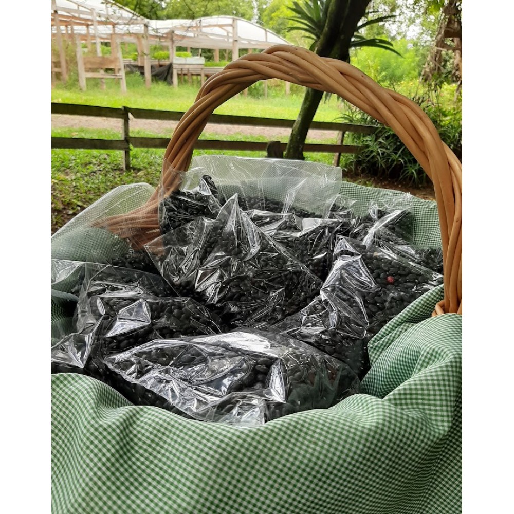 Feijão Preto - 1 kg